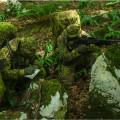 The Ultimate Guide to Camouflage Clothing for Airsoft Enthusiasts